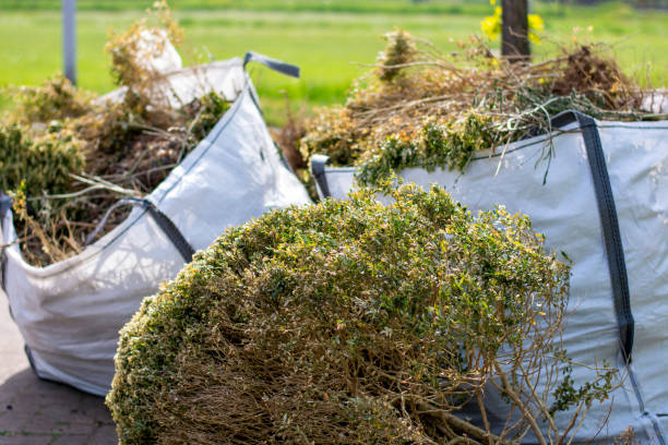 Best Construction Debris Removal  in Millen, GA